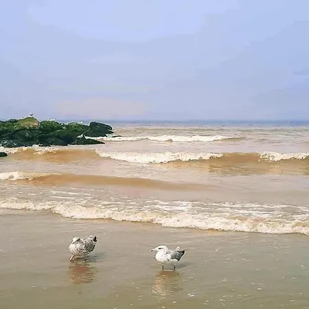 Santa Cruz 0401 With Sea View アパート *