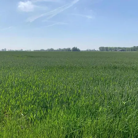 Santa Cruz 0401 With Sea View *