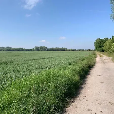 アパート Santa Cruz 0401 With Sea View ニーウポールト