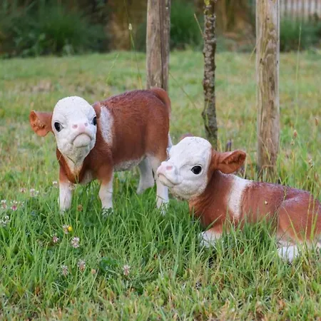 Santa Cruz 0401 With Sea View アパート ニーウポールト