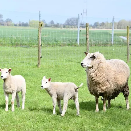 Santa Cruz 0401 With Sea View アパート